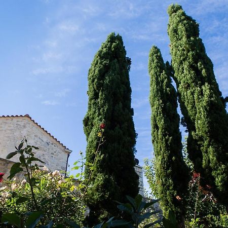 Arcus Suites Aryiroúpolis Dış mekan fotoğraf